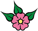flower.gif (3690 bytes)